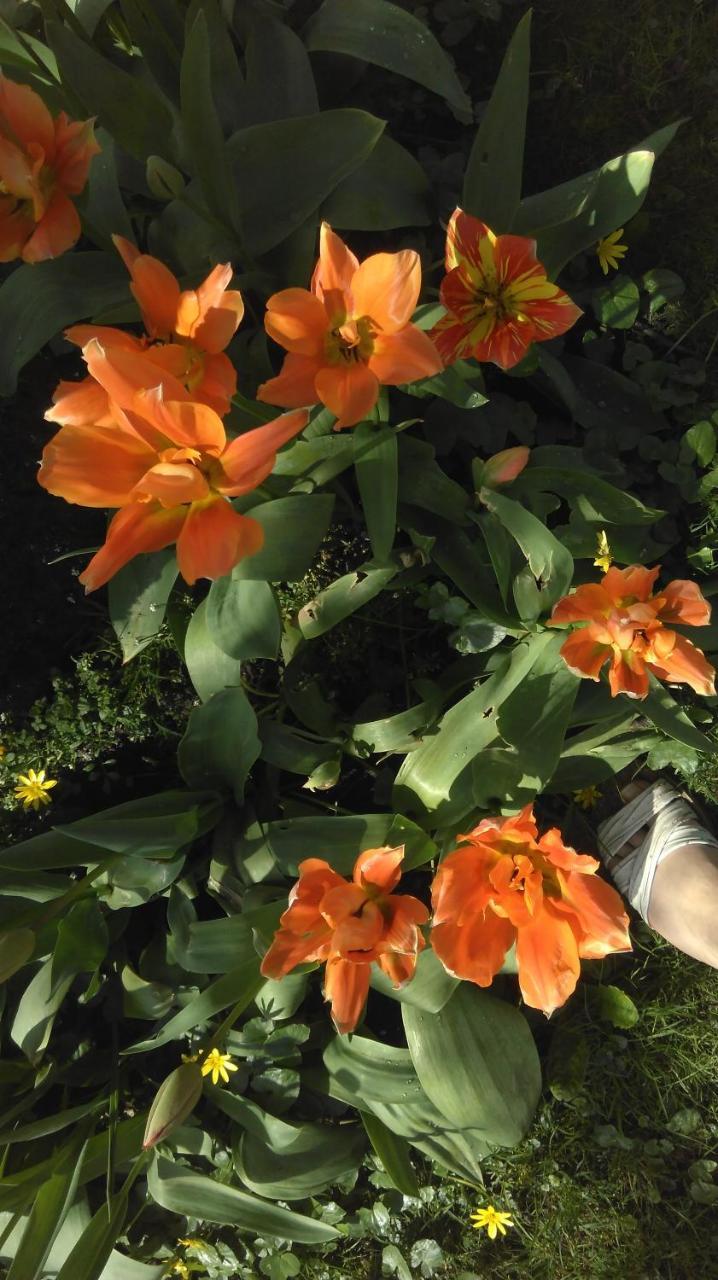 Le Jardin D'Eden - Hebergement Ferme Provisoirement Bed & Breakfast Giverny Exterior foto