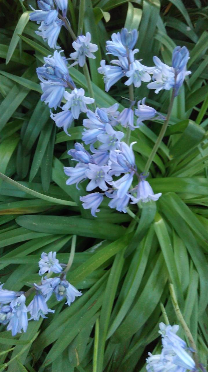 Le Jardin D'Eden - Hebergement Ferme Provisoirement Bed & Breakfast Giverny Exterior foto